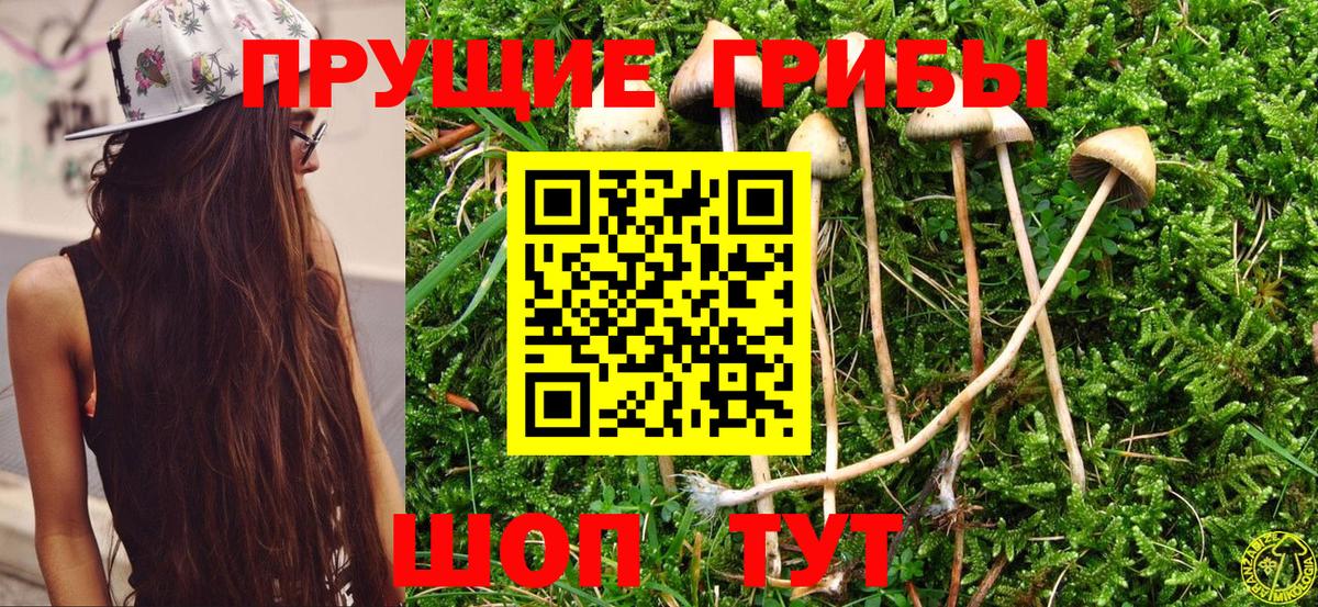 Псилоцибиновые грибы Psilocybine cubensis  Псилоцибиновые грибы ЛСД  Вход с VPN  Солнечногорск 